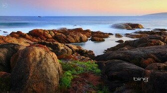 High Definition Nature Wallpaper