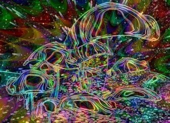Shrooms Wallpaper Desktop Background