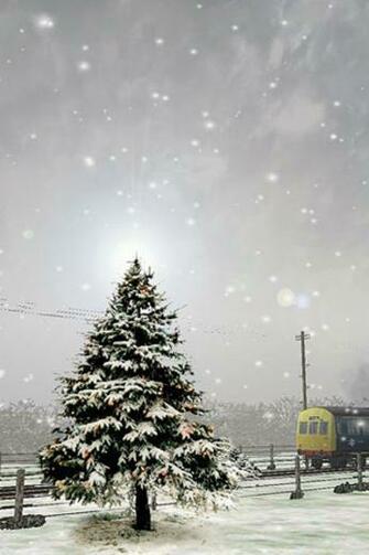 Winter Tree iPhone Wallpaper iPhones Ipod Touch Background
