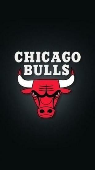 Chicago Bulls iPhone Wallpaper
