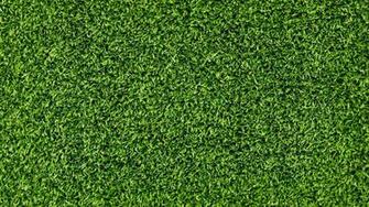 Grass HD Wallpaper Background Image Id