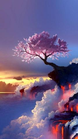 Lonely Tree Wallpaper Link In Comments R Note10wallpaper