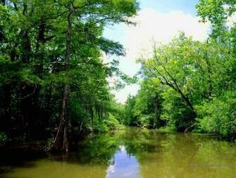 Bayou Vista Xp And Linux Desktop Wallpaper