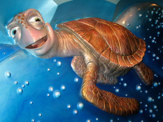 Cute Turtle Wallpaper