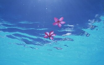 Japan Okinawa Island Beaches Wallpaper Tourist Attractions