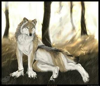 Furry Fandom Wolves Wallpaper Autumn