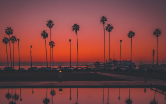 Wallpaper Palms Sunset San Diego Usa