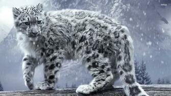 Snow Leopard Wallpaper