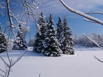 Christmas Winter Scene Wallpaper