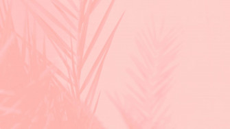 Aesthetic Computer Light Pink Leaves Silhouette Wallpaper