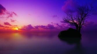 Purple Sunset Wallpaper