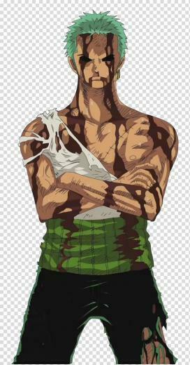 One Piece Unlimited Adventure Roronoa Zoro Monkey D Luffy Nami
