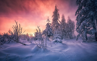 Snow Aesthetic Wallpaper