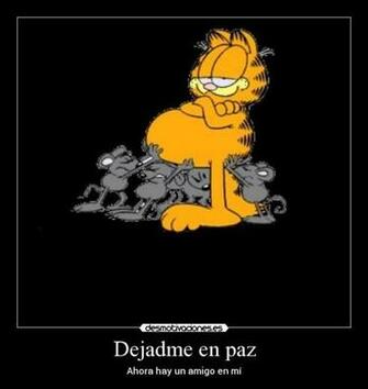 Quoteko