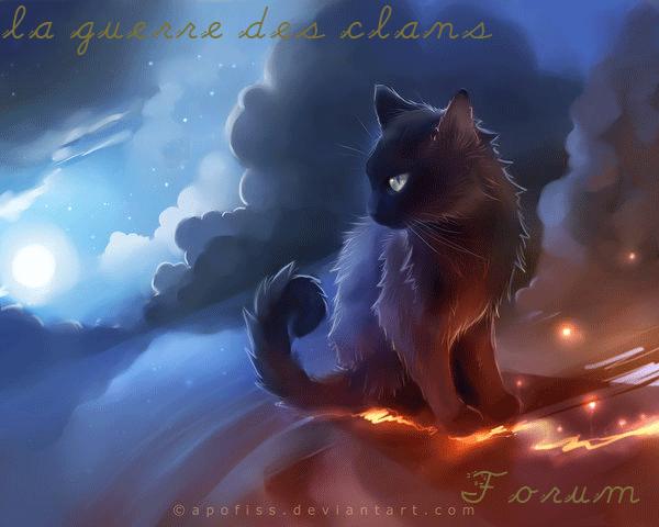 La Guerre Des S Incarner Un Chat Et Faire Le Vivres