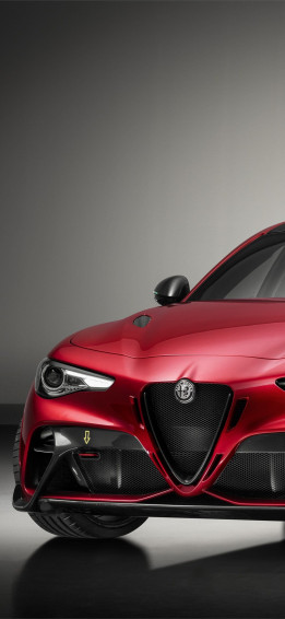 Alfa Romeo Alfaromeo Giulia