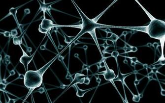 Network Wallpaper And Image Pictures Photos