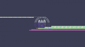 Nsa HD Wallpaper Background Image