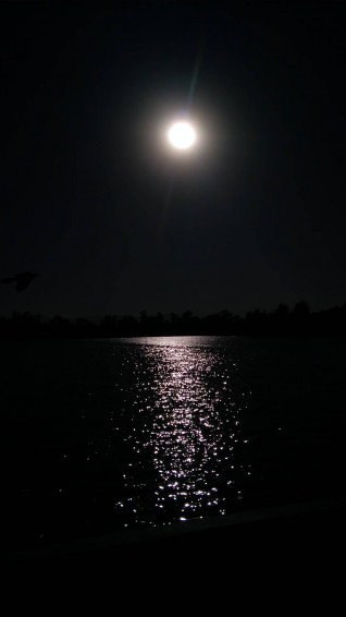 Moon Phone Wallpaper