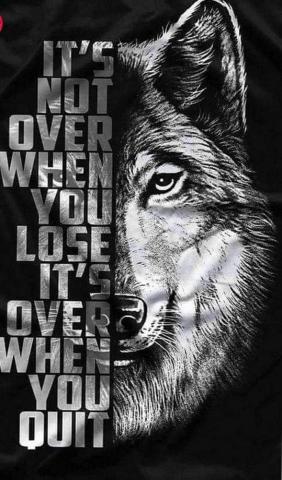 Lone Wolf Motivational Wallpaper Pro