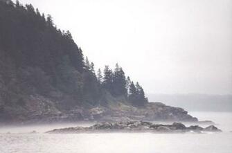 Photo Maine Coastlibe Fog In The Album Nature Wallpaper By