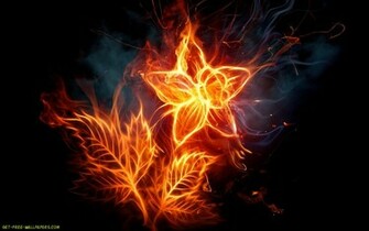Cool Flame Wallpaper Flower Of Hq