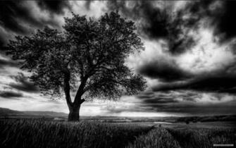 Nature Wallpaper HD Landscape
