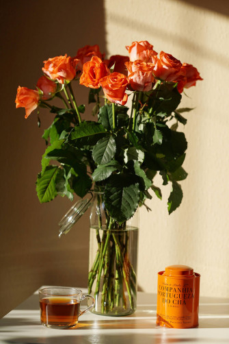 Orange Aesthetic Roses Phone Wallpaper