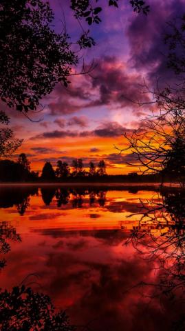 Wallpaper Sunset Autumn River Trees iPhone