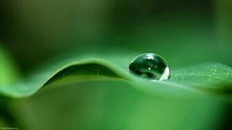 Water Droplet Jpg