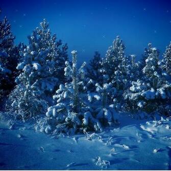 Night Snow Scene iPad Wallpaper iPhone