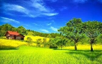 Peaceful HD Wallpaper Mobile