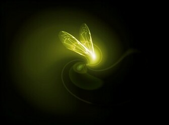 Absinthe Wallpaper Pictures
