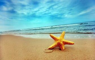 Starfish Background