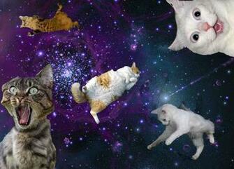 Galaxy Cat Canister