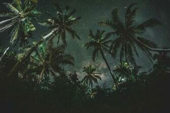 Mac Wallpaper Find Your Next