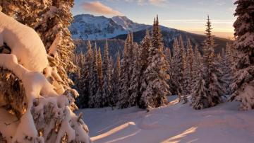 8k Nature Photo Wallpaper HDwallpaper Desktop Winter