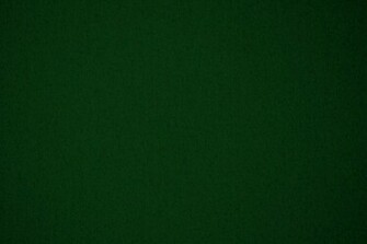 Dark Green Wallpaper Background Wallruru