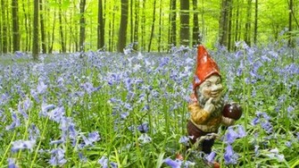 Garden Gnome Wallpaper