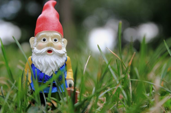 Baby Paxton The Garden Gnome By Mia Goober