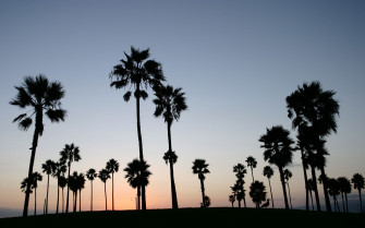 La Wallpaper Los Angeles Available For In HD