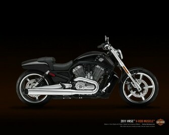 Harley Davidson V Rod Muscle
