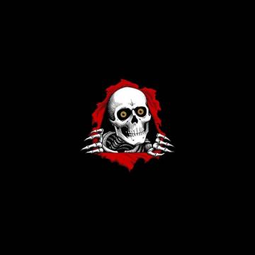 Powell Peralta Wallpaper Top Background