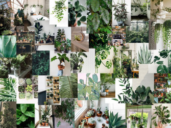 Green Plant Aesthetic Wallpaper