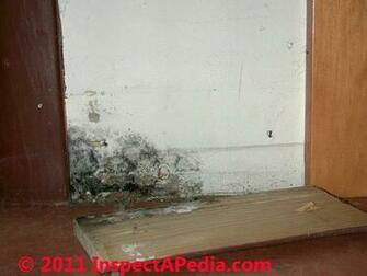 Mold On Vinyl Windows In Wall Cavities Wallpaper