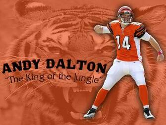 Desktop Wallpaper Cincinnati Bengals