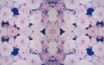 Crystal Castles Celestica Video Ing Gallery