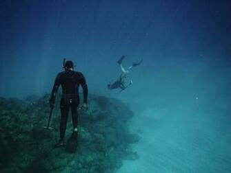 Underwater Swimmer Pictures Image
