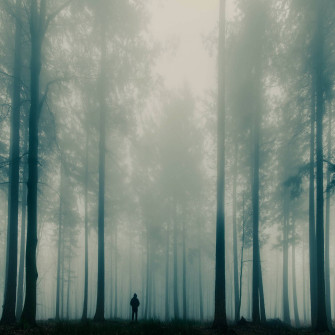 Mystical Forest Wallpaper