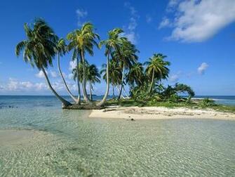 Palm Island Back To Wallpaper Home